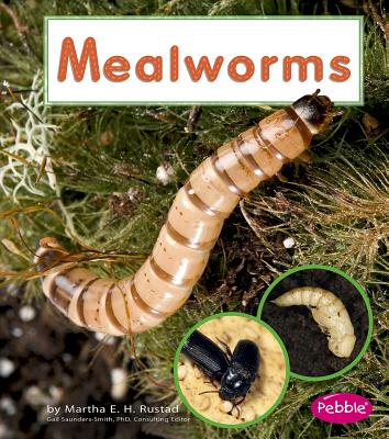 Mealworms - Rustad, Martha E H
