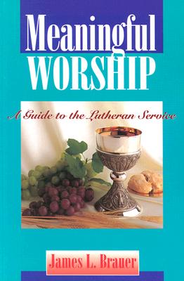 Meaningful Worship - Brauer, James Leonard, PH.D.