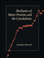 Mechanics of Motor Proteins and the Cytoskeleton