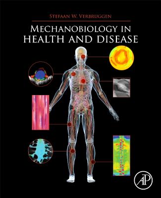 Mechanobiology in Health and Disease - Verbruggen, Stefaan (Editor)