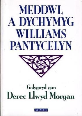 Meddwl a Dychymyg Williams Pantycelyn - Morgan, Derec Llwyd (Editor)