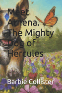 Meet Athena. The Mighty Dog of Hercules