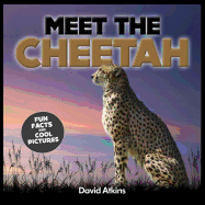 Meet the Cheetah: Fun Facts & Cool Pictures