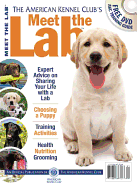 Meet the Lab