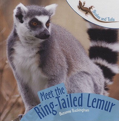 Meet the Ring-Tailed Lemur - Buckingham, Suzanne