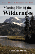 Meeting Him in the Wilderness: A True Story of Adventure and Faith
