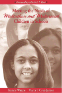 Meeting the Needs of Multiethnic and Multiracial Children in Schools