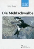 Mehlschwalbe - Menzel