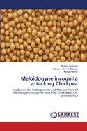 Meloidogyne Incognita Attacking Chickpea