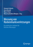 Messung von R?ckenmarksverletzungen: Ein praktischer Leitfaden f?r Outcome-Messungen