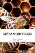 Metamorphosis