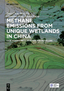 Methane Emissions from Unique Wetlands in China: Case Studies, Meta Analyses and Modelling