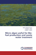 Micro Algae Useful for Bio-Fuel Production and Waste Water Treatment