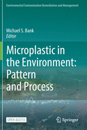 Microplastic in the Environment: Pattern and Process