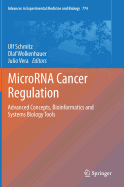 MicroRNA Cancer Regulation: Advanced Concepts, Bioinformatics and Systems Biology Tools