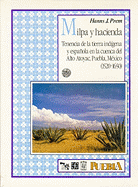 Milpa y hacienda : tenencia de la tierra ind?gena y espaola en la cuenca del Alto Atoyac, Puebla, M?xico (1520-1650)