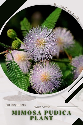 Mimosa pudica plant: Plant Guide - Lalko, Andrey