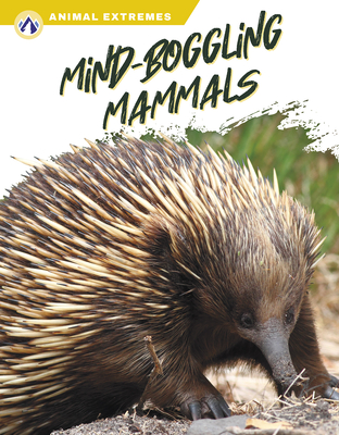 Mind-Boggling Mammals - Wilson, Libby