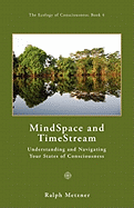 Mind Space and Time Stream: Understanding and Navigating Your States of Consciousness