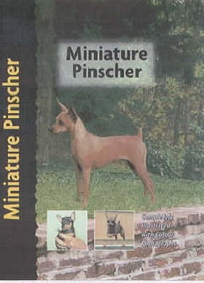 Miniature Pinscher - Schwartz, Charlotte