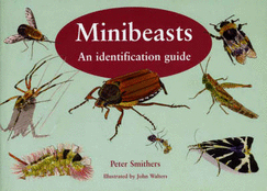Minibeasts: An Identification Guide - Smithers, Peter
