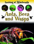 MINIBEASTS ANTS BEES & WASPS