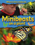 Minibeasts on a Plant