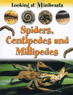 MINIBEASTS SPIDERS & CENTIPEDES