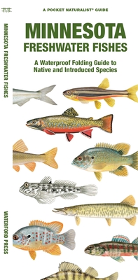 Minnesota Freshwater Fishes: A Waterproof Folding Guide to Native and Introduced Species - Morris, Matthew, and Waterford Press, and Leung, Raymond (Illustrator)