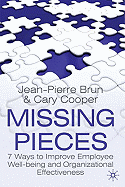 Missing Pieces: 7 Ways to Improve Employee Well-Being and Organizational Effectiveness