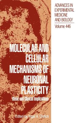 Molecular and Cellular Mechanisms of Neuronal Plasticity: Basic and Clinical Implications - Ehrlich, Yigal H (Editor)