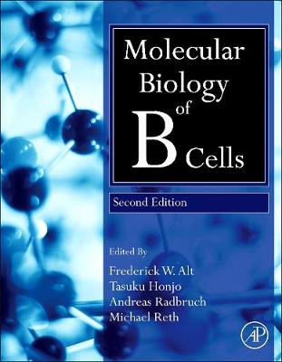 Molecular Biology of B Cells - Honjo, Tasuku (Editor), and Reth, Michael (Editor), and Radbruch, Andreas (Editor)