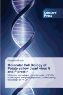 Molecular Cell Biology of Potato Yellow Dwarf Virus N and P Protein