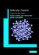 Molecular Clusters: A Bridge to Solid-State Chemistry
