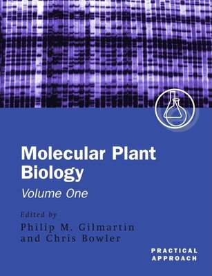 Molecular Plant Biology - Gilmartin, Philip M (Editor), and Bowler, Chris (Editor)