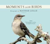 Moments with Birds: A Bird Photographer's Journey Through the Seasons