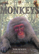 Monkeys: Nature Watch