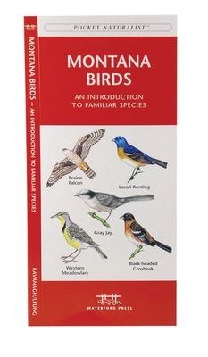 Montana Birds: A Folding Pocket Guide to Familiar Species - Kavanagh, James