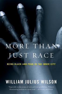 More Than Just Race: Being Black and Poor in the Inner City - Wilson, William Julius