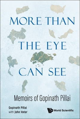 More Than the Eye Can See: Memoirs of Gopinath Pillai - Pillai, Gopinath, and Vater, John