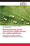 Morfoanatoma de las estructuras subterrneas de cuphea glutinosa