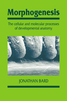 Morphogenesis: The Cellular and Molecular Processes of Developmental Anatomy - Bard, Jonathan