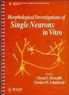 Morphological investigations of single neurons in vitro