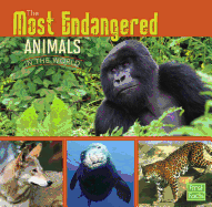 Most Endangered Animals in the World (All About Animals)