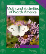 Moths and Butterflies of North America