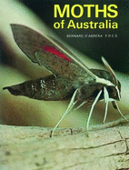 Moths of Australia