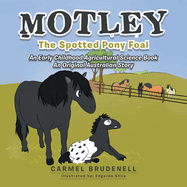 Motley: The Spotted Pony Foal