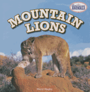 Mountain Lions - Magby, Meryl