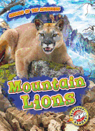 Mountain Lions