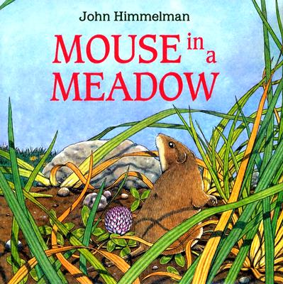 Mouse in a Meadow - Himmelman, John